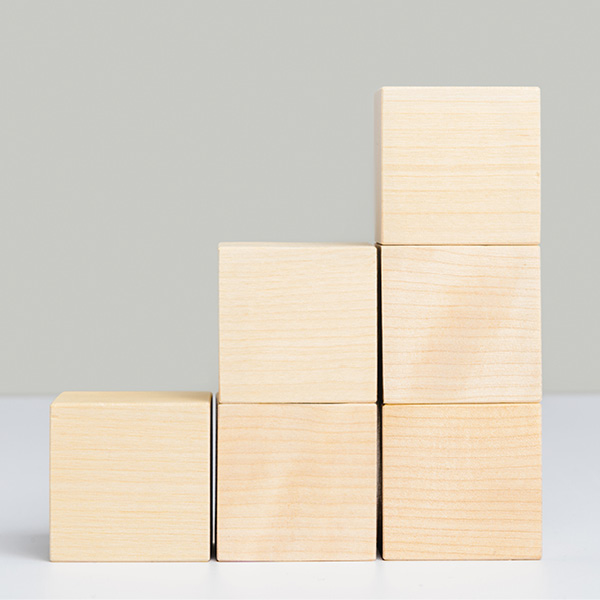 Wooden building blocks